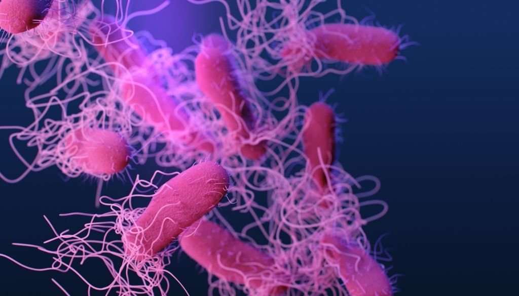 La crisis de la resistencia antimicrobiana: el reto definitivo de la medicina moderna